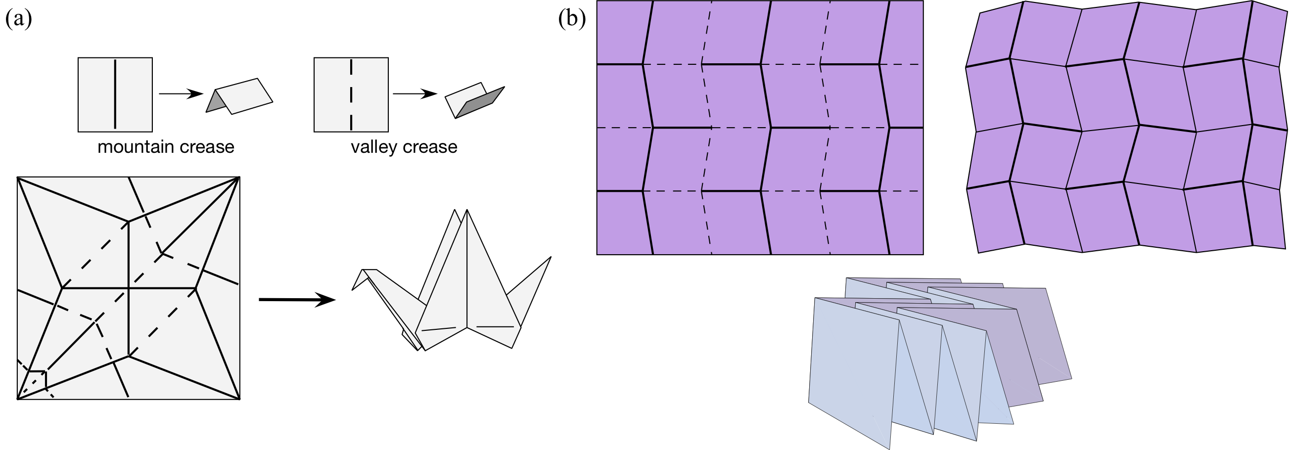 crease pattern of a crane and a Miura-ori